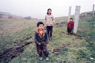 Critique Les Trois Sœurs du Yunnan